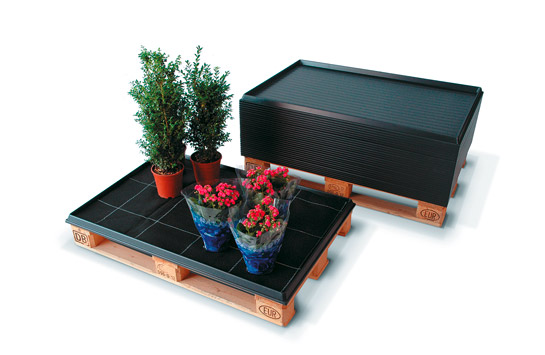 Plastic irrigation tray for Euro pallets
